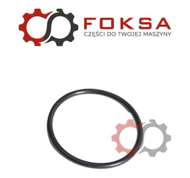 O-Ring