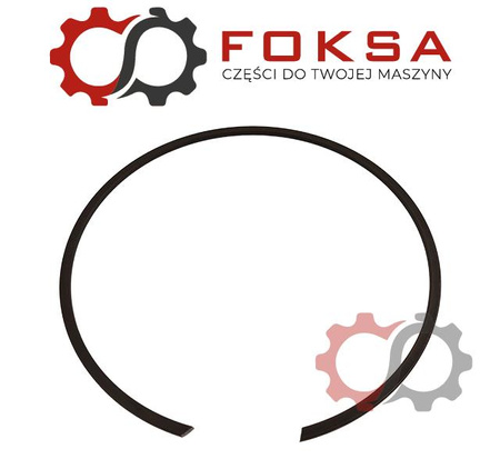 Pierścień uszczelniający ORG