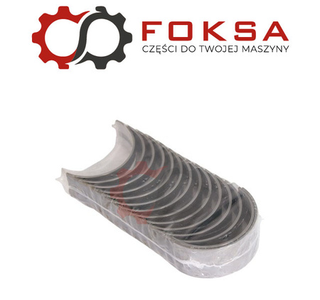 Panewki głowne kpl. STD