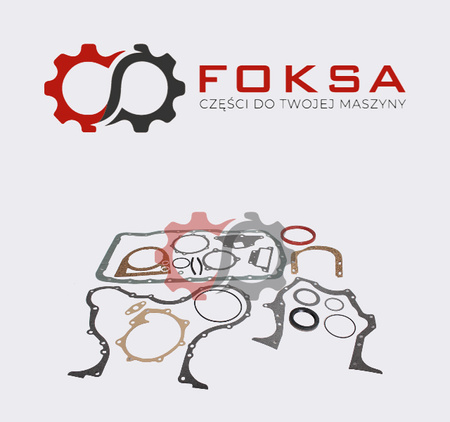 Zestaw uszczelek silnika dół REINZ