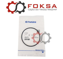 Oring pompy wtryskowej ORG