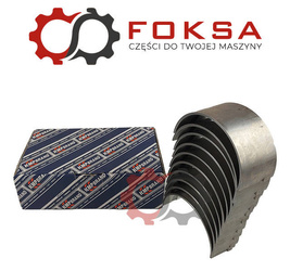 Zestaw panewek głównych KMP I szlif