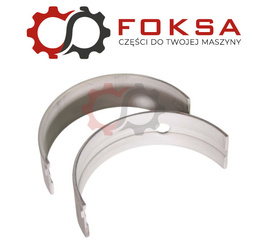 Panewka główna - para STD