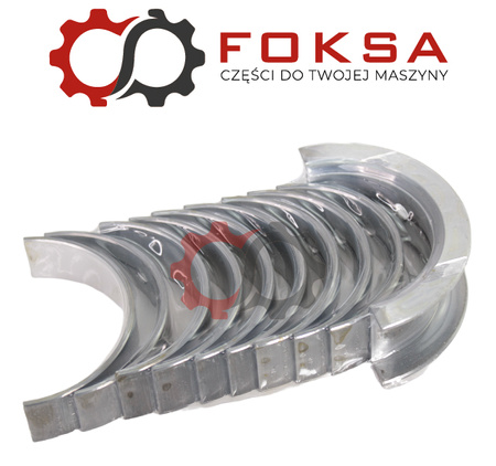 Panewki główne kpl. STD Kolbenschmidt