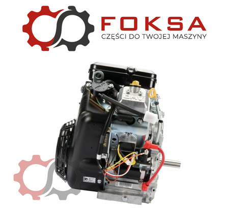 Silnik kompletny Briggs & Stratton