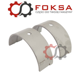 Panewka główna - para II szlif