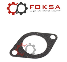 Uszczelka termostatu