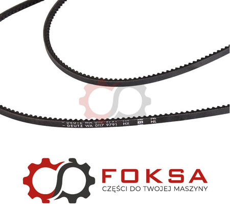 Zestaw pasków klinowych ORG