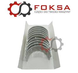 Zestaw panewek głównych STD