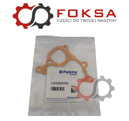 Uszczelka pompy wody