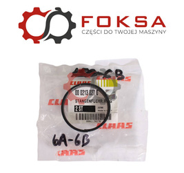 Pierścień prowadzący ORG