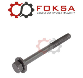 Komplet śrub głowicy Reinz