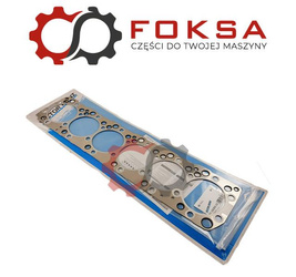 Uszczelka głowicy REINZ