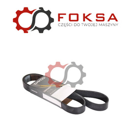 Pasek wielorowkowy DAYCO