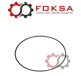 O-ring tłoka