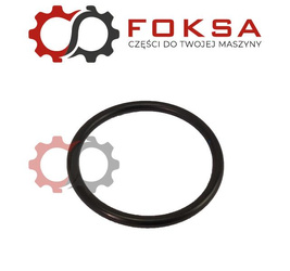 Oring Napinacza gąsienicy