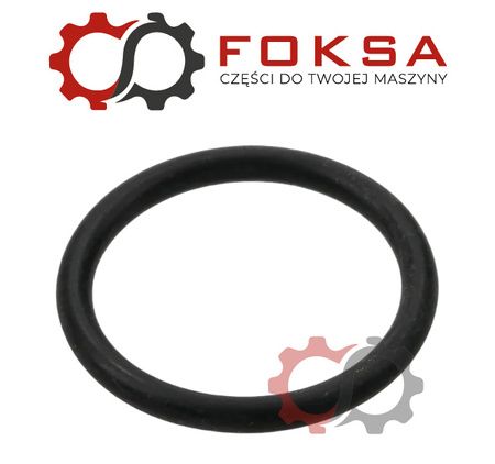 Arag - Pierścień uszczelniający o-ring 22.22x2.62mm