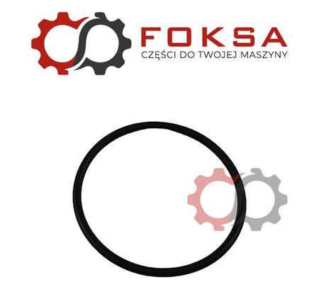 O-ring mechanizmu różnicowego