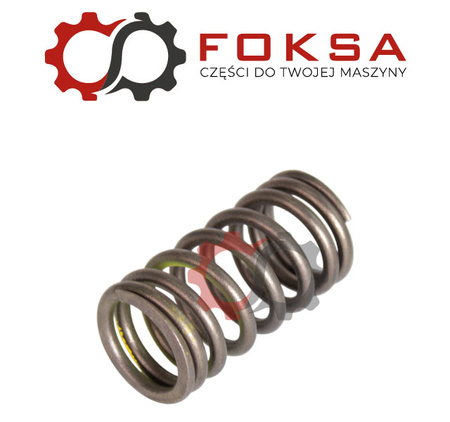 Sprężyna zaworu ORG