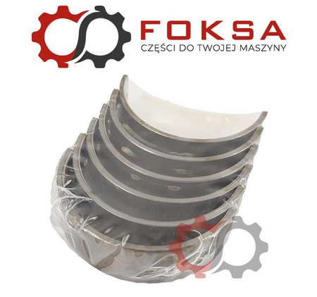 Zestaw panewek głównych KMP I szlif