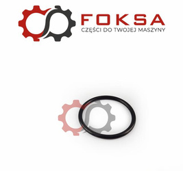O-ring tłoczyska