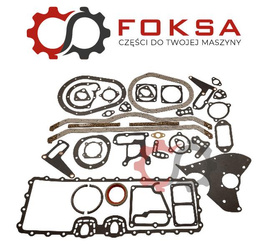 Zestaw uszczelek dół Ajusa