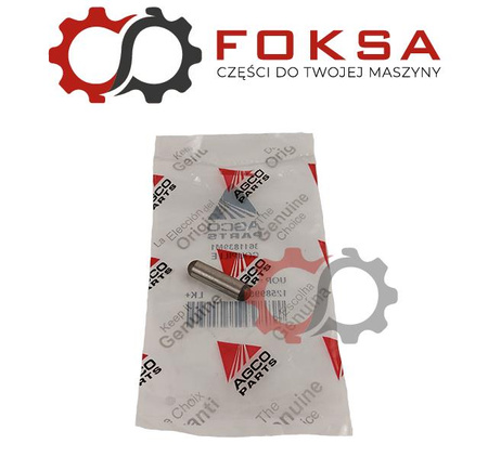 Sworzeń satelity ORG