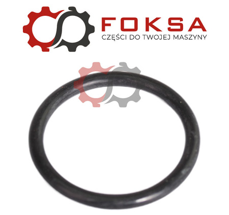O-ring ORG