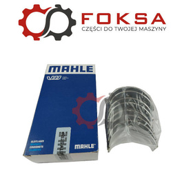 Panewki główne kpl. STD Mahle