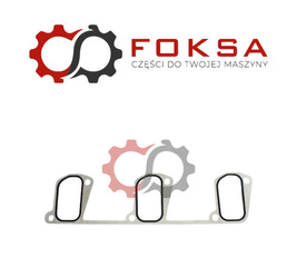 Uszczelka kolektora ssącego ORG