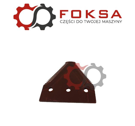 Nożyk kosy górnonacinany Rasspe