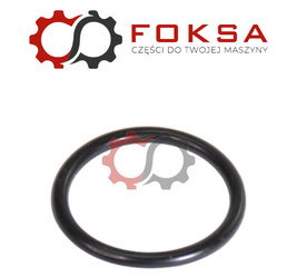 O-ring ORG