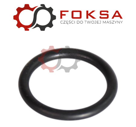 O-ring / Pierścień uszczelniający wałka ORG