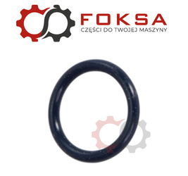 O-ring rurki wtryskowej ORG