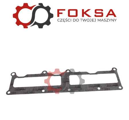 Uszczelka kolektora ssącego ORG