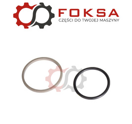 Uszczelniacz siłownika 3D ORG