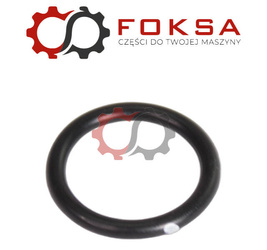 O-ring ORG