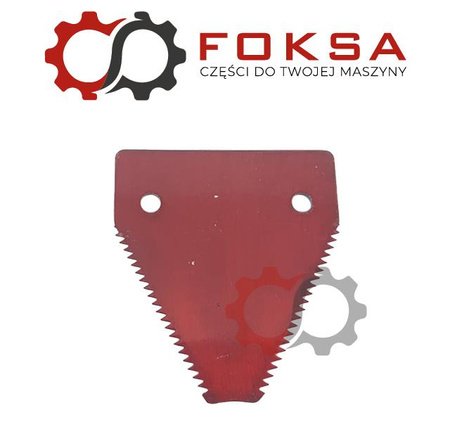 Nożyk kosy górnonacinany