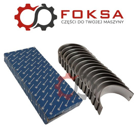 Zestaw panewek głównych KS - II szlif