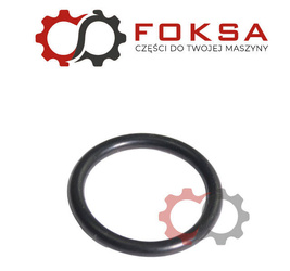 O-Ring