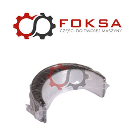 Panewka główna para STD