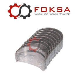 Panweki główne zestaw